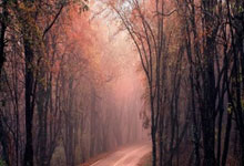 华体会体育：-遭乌克兰逆转，比利时自年以来首次四连败.