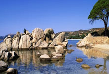 华体会体育：2025年世界羽联年度最佳奖项“评选标准”调整变化.